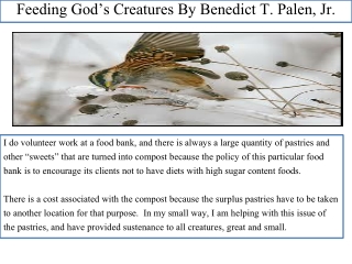 Feeding God’s Creatures By Benedict T. Palen, Jr.