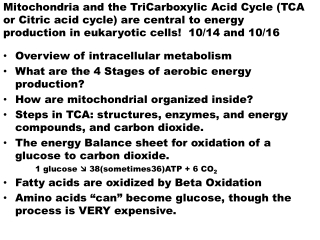 Overview of intracellular metabolism What are the 4 Stages of aerobic energy production?