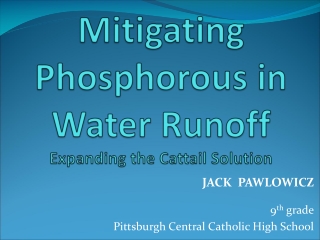 Mitigating Phosphorous in Water Runoff Expanding the Cattail Solution