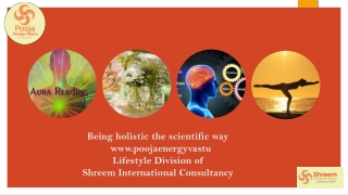 Being holistic the scientific way poojaenergyvastu.COM