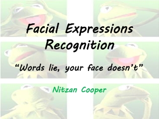 Facial Expressions Recognition