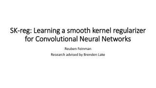 SK- reg : Learning a smooth kernel regularizer for Convolutional Neural Networks