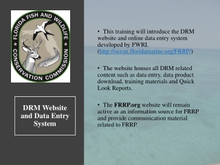 DRM Website and Data Entry System