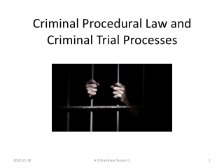 Criminal Procedural Law and Criminal Trial Processes