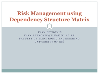 Risk Management using Dependency Structure Matrix