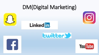 DM(Digital Marketing)