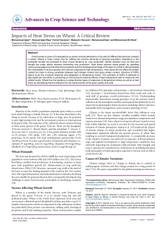 Impacts of Heat Stress on Wheat: A Critical Review