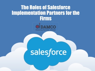 The Roles of Salesforce Implementation Partners for the Firms