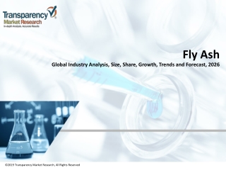 Fly Ash Market Volume Analysis, Segments, Value Share and Key Trends 2026