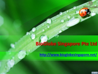 Bioglobe Singapore Pte Ltd