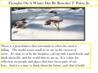 Thoughts On A Winter Day By Benedict T. Palen, Jr.