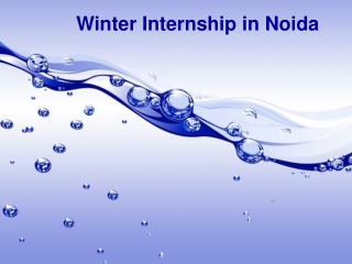 Winter Internship in Noida