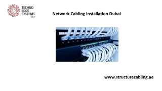 Network Cabling Installation Dubai