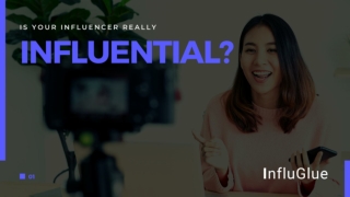 InfluGlue - Is Your Influencer Really Influential