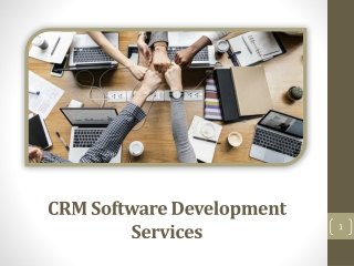 CRM Software Development Services | CRM Solution Developer