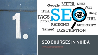 SEO Courses in Noida