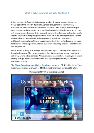 Cyber Insurance Market