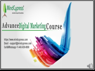 Advance Digital Marketing Course, Mindcypress, What are the fees for Digital Marketing Course, Digital marketing certifi