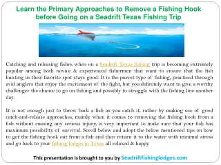 Learn the Primary Approaches to Remove a Fishing Hook before Going on a Seadrift Texas Fishing Trip