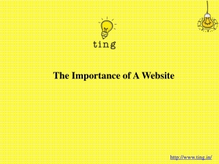 The Importance of A Website