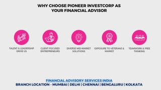 Financial Advisory Services India - Pioneer Investcorp