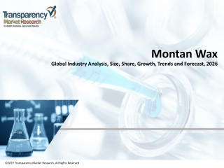 Montan Wax Market Predicted to Rise at a Lucrative CAGR throughout 2026