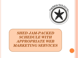 Shed jam-packed schedule with appropriate web marketing services