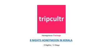 8 NIGHTS HONEYMOON IN KERALA