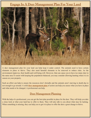 Engage In A Deer Management Plan For Your Land