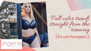Know The New Color Trends In Amazing Hue And Lingerie | Lingerie Social