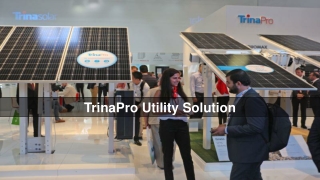 TrinaPro Utility Solution | Trina Solar