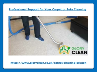 Professional Support for Your Carpet or Sofa Cleaning