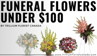 Funeral Flowers Under $100 by Trillium Florist Canada