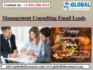 Management Consulting Email Leads