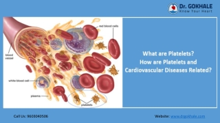 What are Platelets-How are Platelets and Cardiovascular Diseases Related | Dr Gokhale