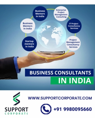 Business Consultants in India