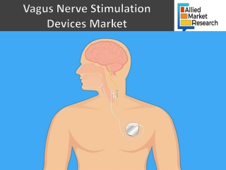 Vagus Nerve Stimulation Devices Market