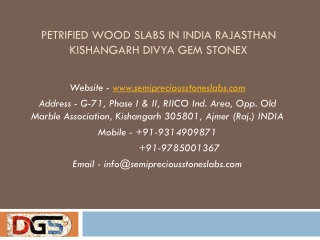 Petrified Wood Slabs in India Rajasthan Kishangarh Divya Gem Stonex