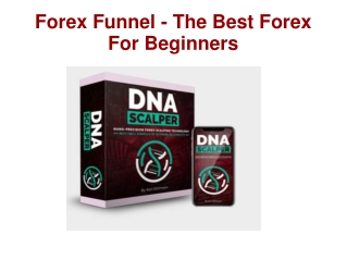 The Best Forex For Beginners