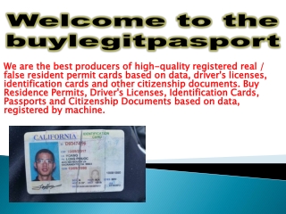 Real passport online