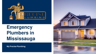 Emergency Plumbers in Mississauga