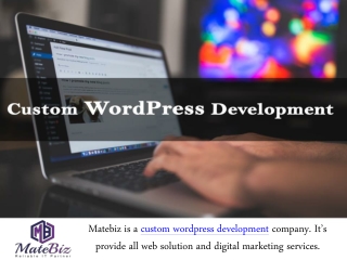 Which Is The Best Custom WordPress Development Agency?