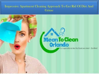 Impressive Apartment Cleaning Approach To Get Rid Of Dirt And Grime