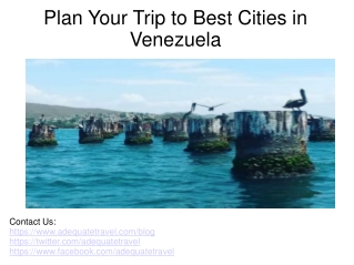 Plan Your Trip to Best Cities in Venezuela