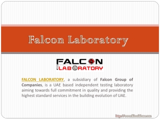 Geotechnical companies in UAE - Falcon Lab