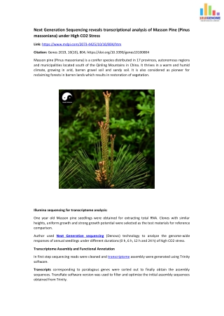 Next Generation Sequencing reveals transcriptional analysis of Masson Pine under High CO2 Stress