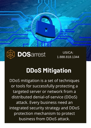 DDoS Mitigation