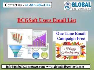 BCGSoft Users Email List