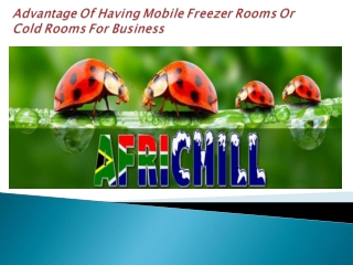 Advantage Of Having Mobile Freezer Rooms Or Cold Rooms For Business