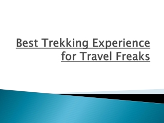 Best Trekking Experience for Travel Freaks